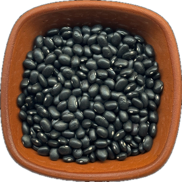 Negros