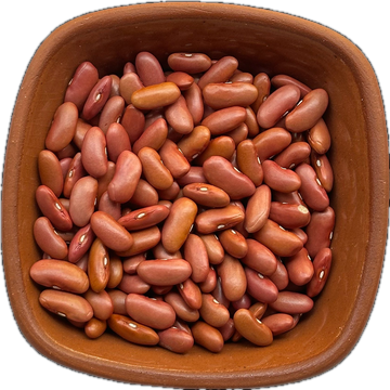 Light Red Kidney